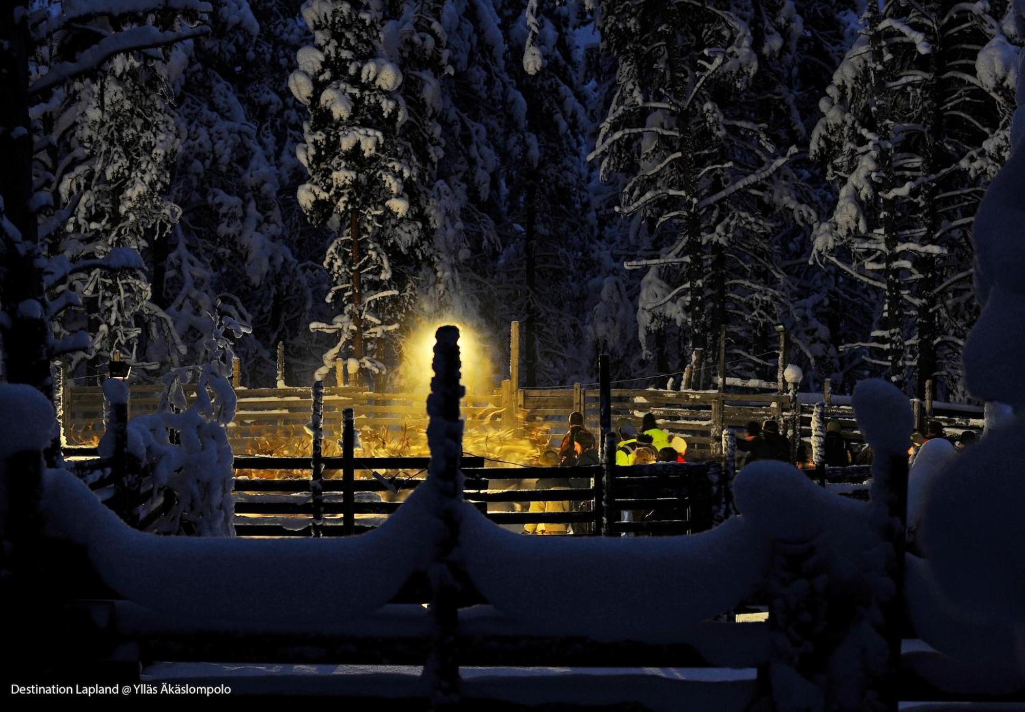 Nivunki Village Muonio Exterior foto